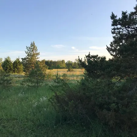 Ronga Saunamaja Nyaraló Ilmasoo