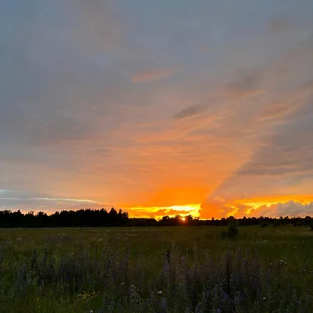 Ronga Saunamaja