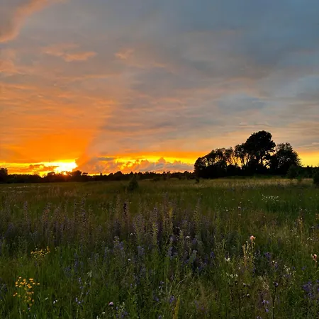 Nyaraló Ronga Saunamaja