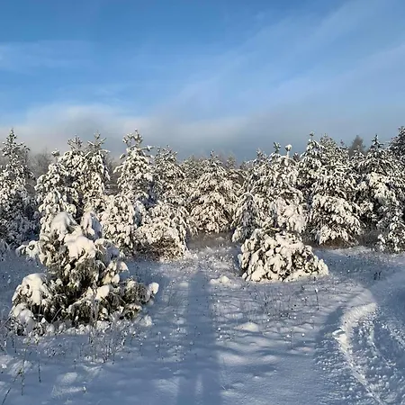 Vakantiehuis Ronga Saunamaja