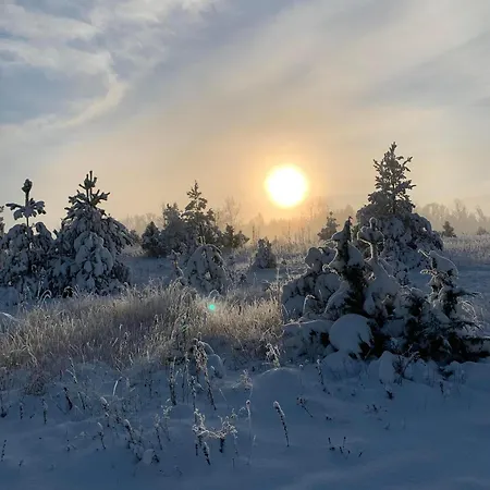 Ronga Saunamaja Vakantiehuis *