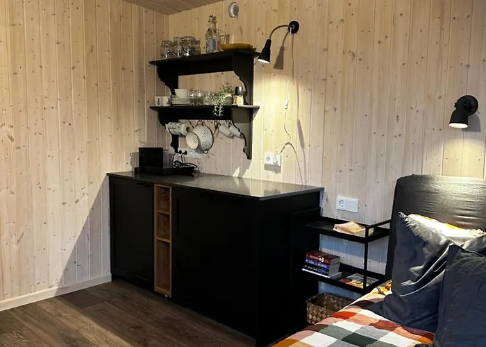 Ronga Saunamaja Holiday home *