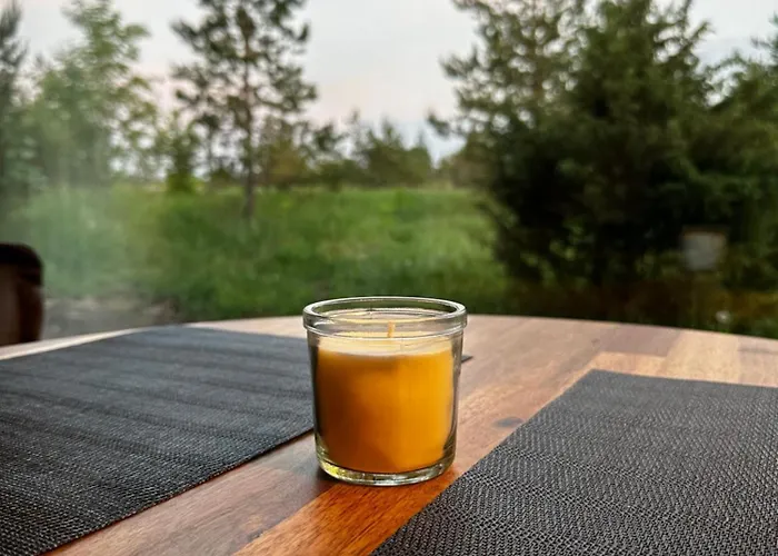 Ferienhaus Ronga Saunamaja *