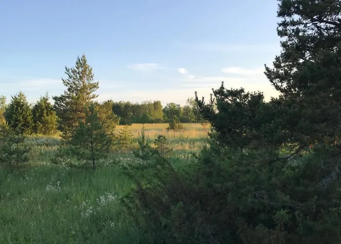 Ronga Saunamaja Semesterbostad Ilmasoo