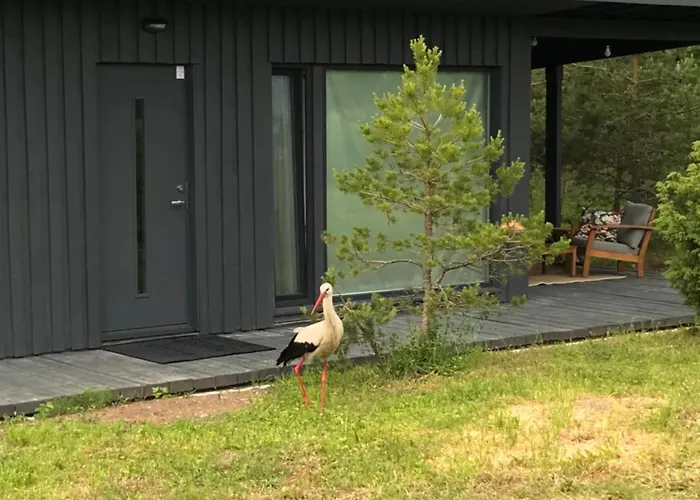 Ferienhaus Ronga Saunamaja