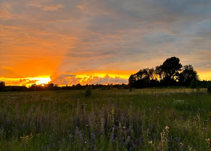Semesterbostad Ronga Saunamaja