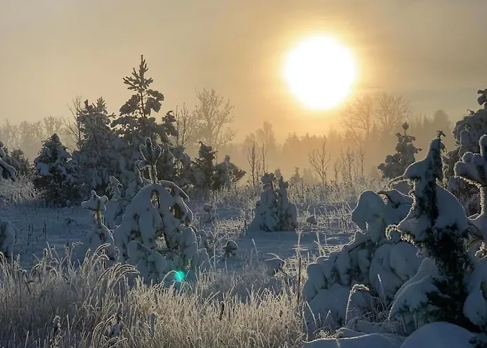 Ronga Saunamaja * Ilmasoo