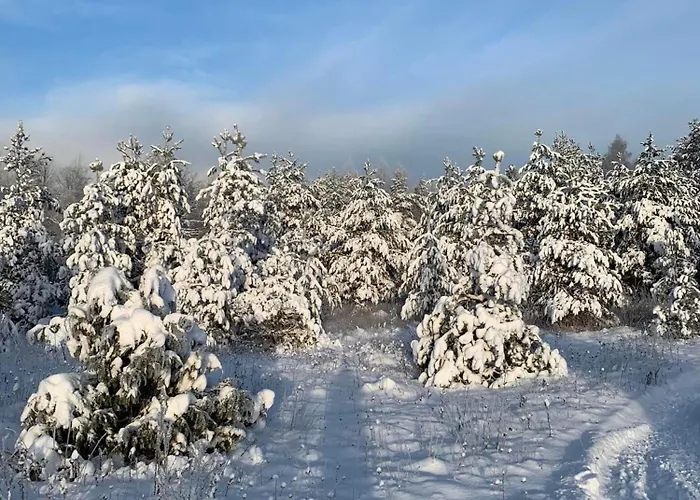 بيت للعطل Ronga Saunamaja