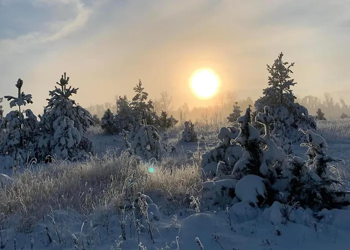 Ronga Saunamaja بيت للعطل *